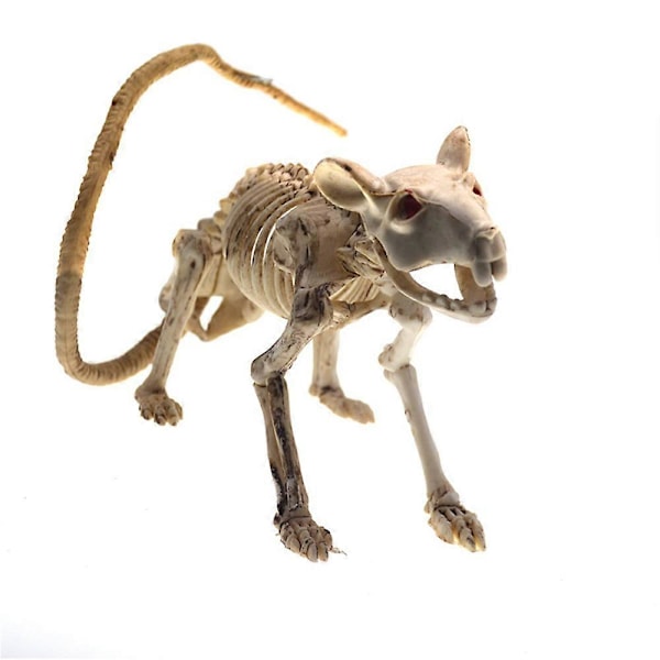Halloween Horror Skelet Rotte Edderkop Skelet Model Festival Dekoration Fest Kryb Halloween Fest Dekoration