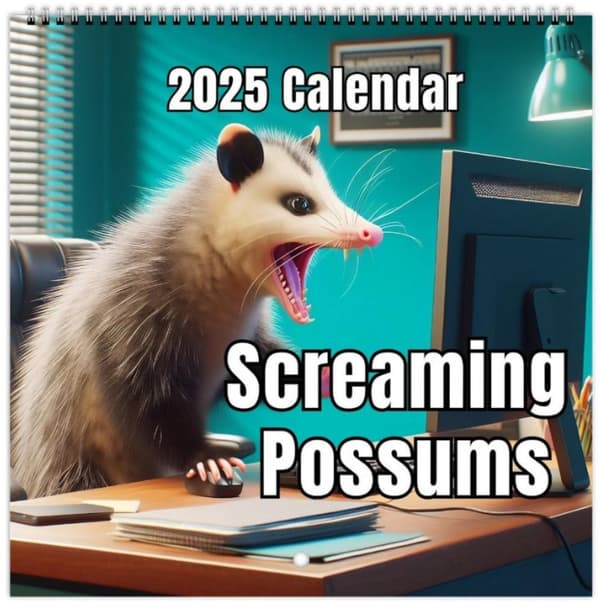 2-pak kalender 2025 veggkalender