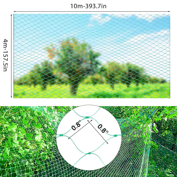 Fruktträdgårdsskyddsnät Grönt Fågelskyddsnät Polyeten Fågelskyddsnät