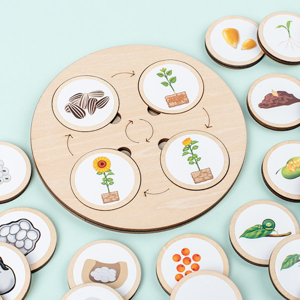 Børns Trædyr og Plante Livscyklus Byggeklodser Puslespil Montessori Vækst Evolution Puslespil Kognitiv Legetøj