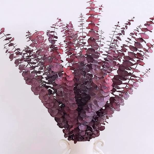 20 stk. naturlige eukalyptus konserverede blomster, eukalyptusblade og eukalyptus globulus blade til dekorative blomstermaterialer.