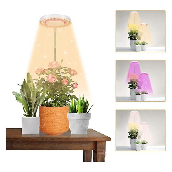 Led Grow Light, halo växtlampa för inomhusväxter som växer, automatisk timer 4/8/12/18, för Bonsai Succulen