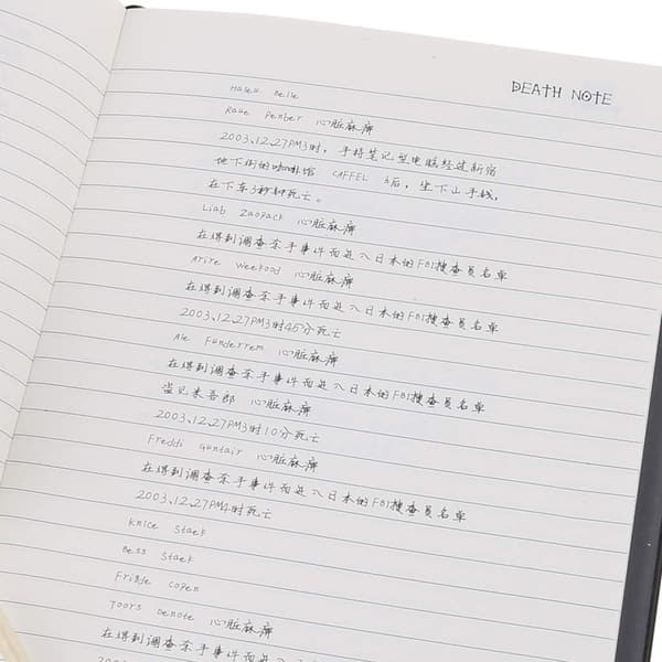 Death Note Notesbog, Anime Dagbog