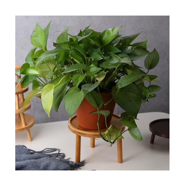 Trä Växtställ Pall Litet Runt Bord för Krukväxt Akvarium Inomhus Växtkruka Display Sta