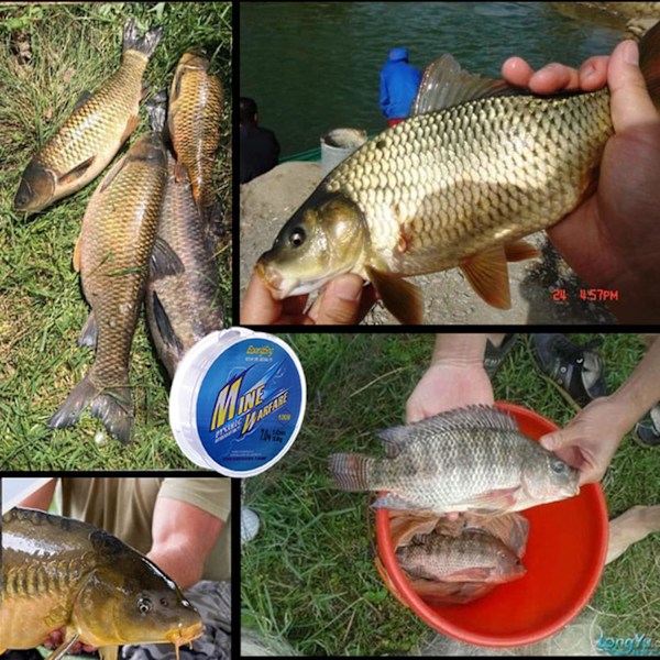 Rnitle 100 Meter Fiskesnor, Nylon Fiskesnor, Transparent Monofilament Fiskesnor ca. 0,45 mm i Diameter