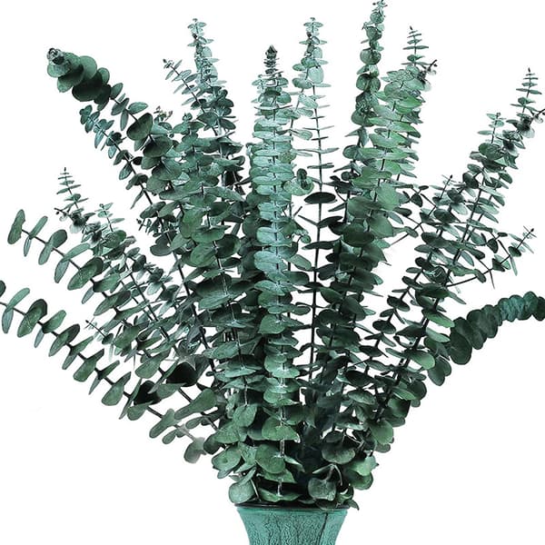 20 stk. naturlige, preserverte eukalyptusblomster, eukalyptusblader og eukalyptus globulus-blader for dekorative blomstermaterialer.