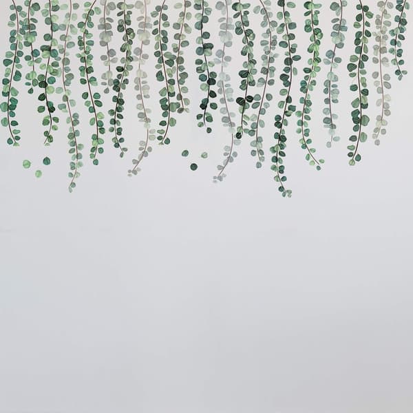 Väggdekor vardagsrum, gröna växter eukalyptus vinranka blad