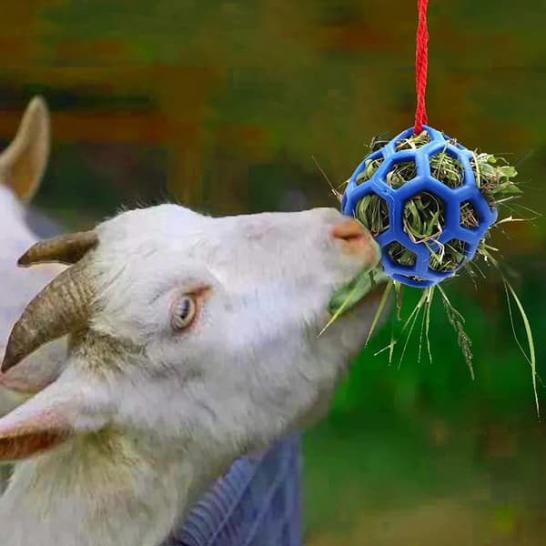 Hængende høfoder med legetøjsbold til hestefodring, strækresistent TPR-bold