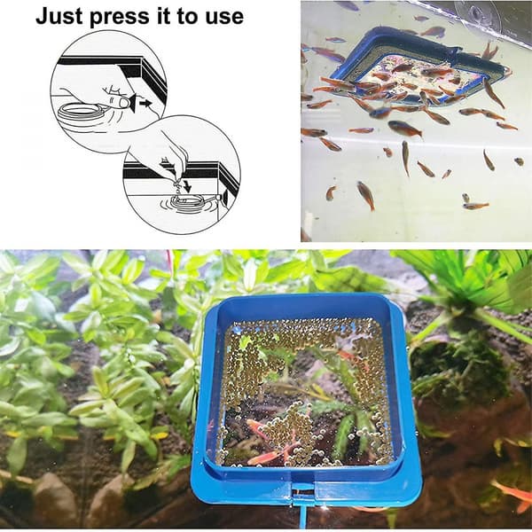 Foderring för Akvarium, Fiskmatsfoder, Koncentrator (2 st)