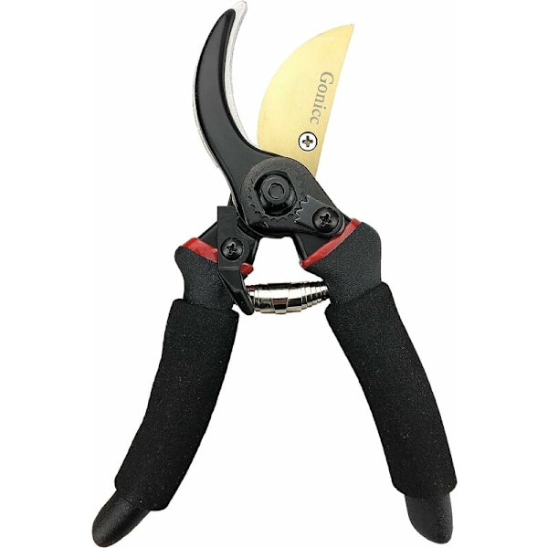Have Secateurs lige klinge i stål og titanium (GPPS-1003)