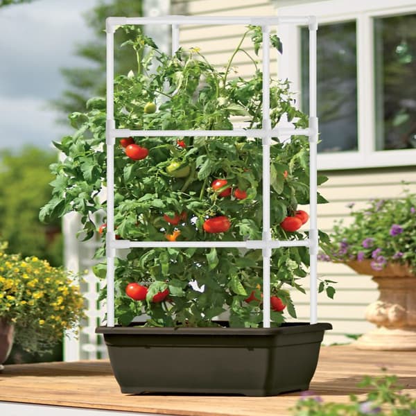 Hagesupport for klatreplanter, kobling for klatreplanter