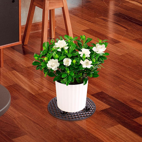 2-pack växtnivå krukhöjare, kraftiga växtstöd, blomma