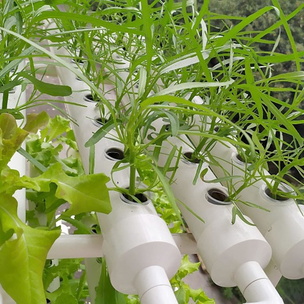 20 Stycken Hydroponisk Växtkorg, Hydroponisk Blomkruka, Hydroponisk Trädgårdsnätkruka, Lämplig för Hydroponisk Odling och Jordlös Odling på