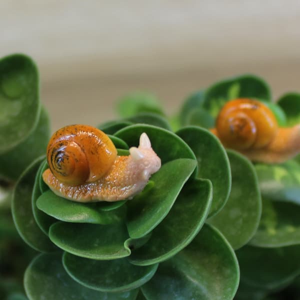 10 stk. Tiny Snails 5 stk. Miniature Resin Snail Figurines, Miniature