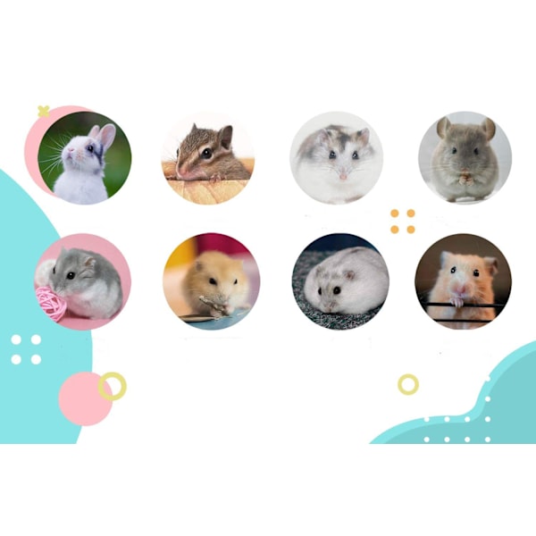 9 st tuggbollar, smådjurs tuggleksak, smådjurs tuggboll, molarleksak, naturligt flätat leksak för smådjur, tuggboll för tandvård, höboll för kanin chinchilla hamster