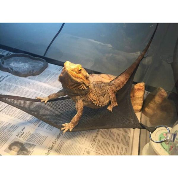 2 st skäggagam hammock set 2 reptil hammock lounger för geckos ödlor leguaner ormar (svart)
