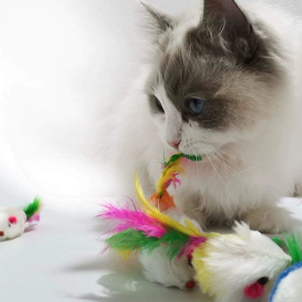 12 stycken kattleksaksmöss kattleksaksmöss kattungemöss skallerfångare
