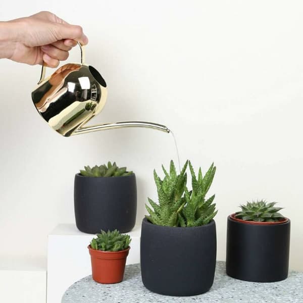 Moderne rustfritt stål vanningskanne for innendørs planter