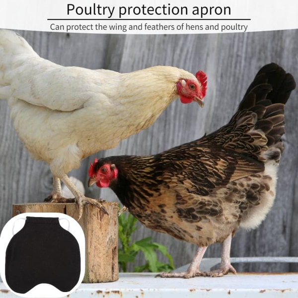 Premium kycklingsadel med elastisk axelrem, Pet Feather Pr