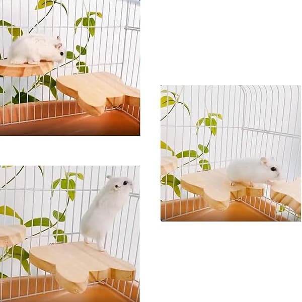 3 Træplatforme til Hamster, Trinsten til Små Dyr