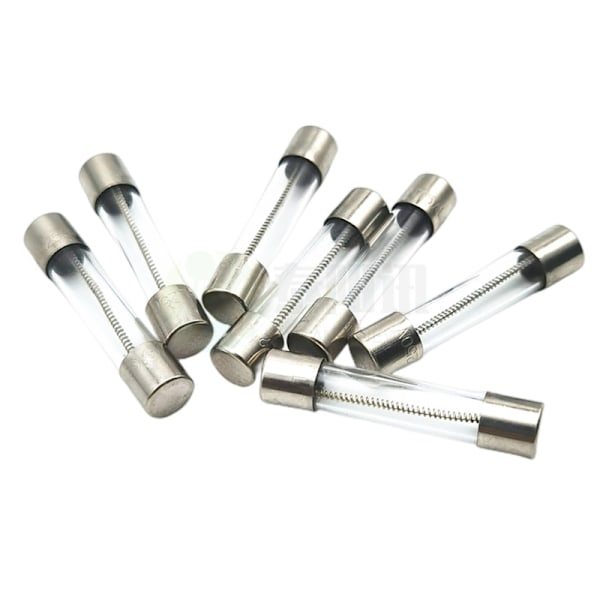 250V 20kpl 5x20mm Hidas Lasisulake 10A 250V 0,2 x 0,78 tuumaa Viivesulake
