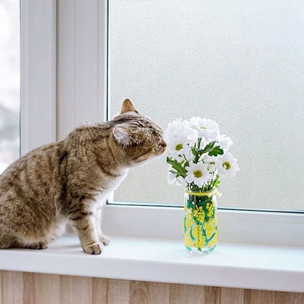 Privacy Window Film Frosted Non-Adhesive Static for Bathroom Deco