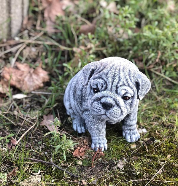 Stein og stil Bulldogg statue, frost- og værbestandig - Solid St