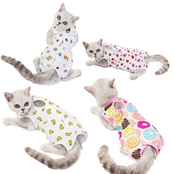 Kattsterilisering Kläder Katt Postpartum Kläder Vår Och Sommar
