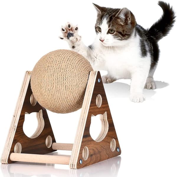 Katt Leike Klorebrett Katteklor Teppe Trebase Ball Lekeplass