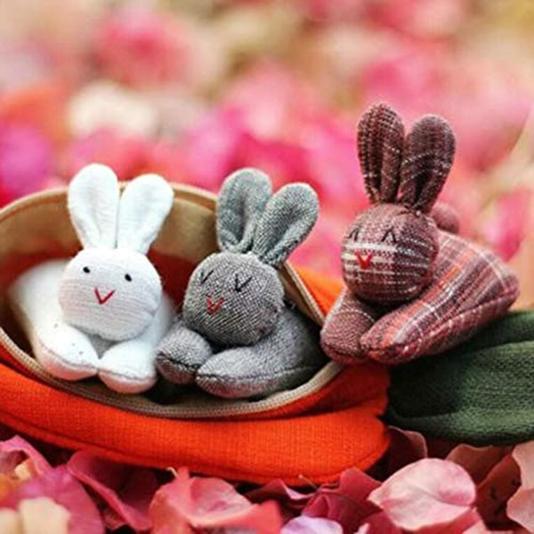 Unzip The Rabbit Doll Toy：3 Bunnies in Carrot Purse Easter Decora