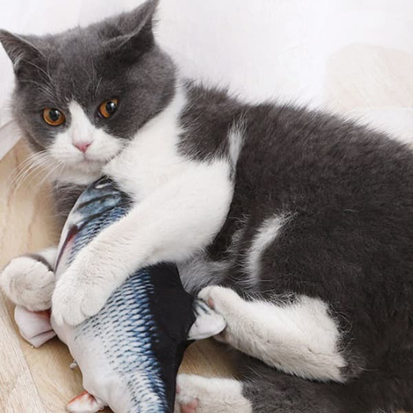 Crucian Carp Leksaker, Simrobot Katt Leksaker Fisk Akvarium Interagera