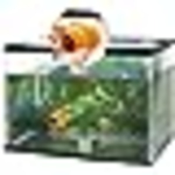 Mini Magnetic Fish Tank Brush - Fish Tank Cleaner - Glasrengöring