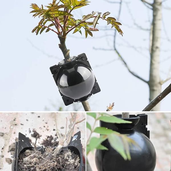 Plante-rotboks, planteformeringkule, høytrykksformeringkule, for plantepoding rotutvikling, 10 stk (S, svart)