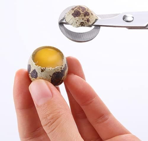 Rustfritt stål vaktelegg saks fugleegg kutter vaktelegg kutter