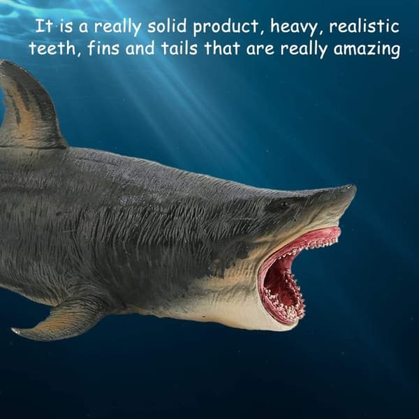 Hajmodel Legetøj Simulation Megalodon Miniature Dyr Legetøj Samling