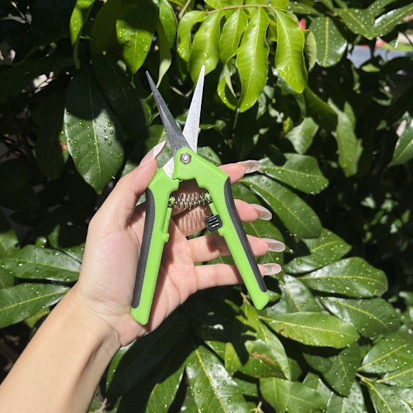 3 stk. Hagebeskjæringssakser, Profesjonelle hagepresisjonssakser for Bonsai og Beskjæring Fjærhåndtak Ideell for Blomster Bonsai