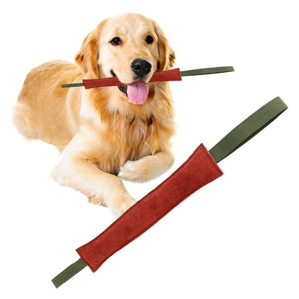 1 oförstörbar hundpudding, 30 cm, med 2 handtag
