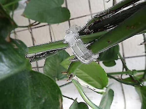 100 stk Planteclips Blomsterklips Ideelt for å feste planter til planter
