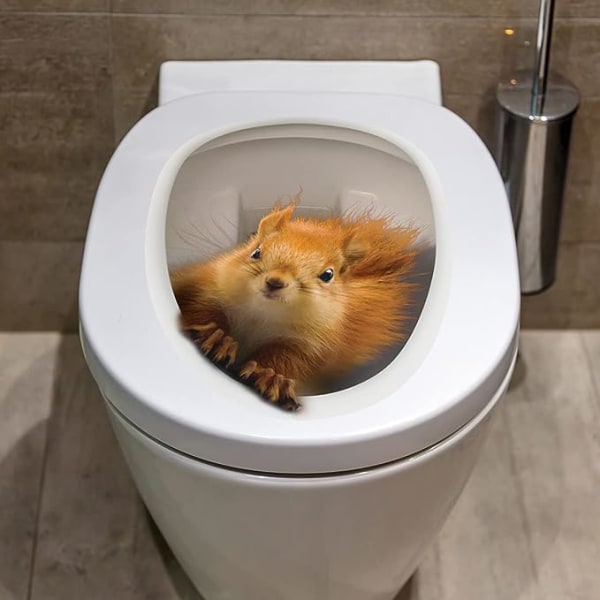 3D Squirrel Decals Toilet Låg Stickers Aftagelige Vandtætte Toilet Seader Stickers