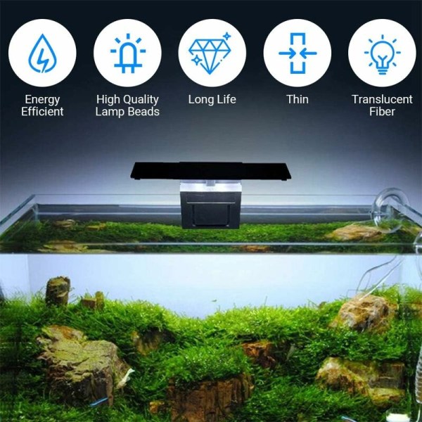Akvariebelysning LED 5W Clip-on sötvatten eller havsväxtlampa, Aq