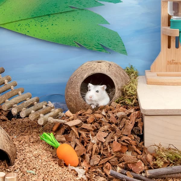 Coco Hut Hamsterhus Säng för Gerbiler Möss Smådjursbur Hab