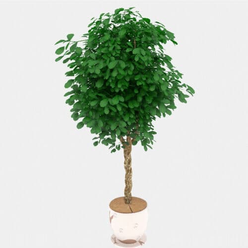 Kokosmatteplanter 3 stykker Mulching Disc, Kokosmatte Beskyttende