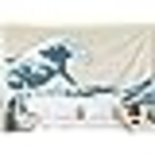 Estetisk rumsdekor, Ocean Tapestry, Ocean Wave Tapestry, Mount Fuji Century Hanging Wall Tapestries för vardagsrumsdekor 60X50 tum（150X130Cm）Inhouse, Blå Vit