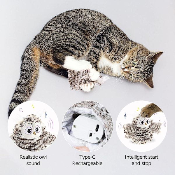 Interaktiva flappande vingar uggla katt leksaker, fågel ljud kattmynta leksaker F