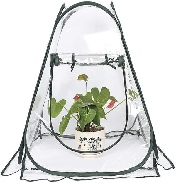 Mini Pop Up Drivhus - Lille Vintertelt til Planter - Blomsterpotte - Mini Drivhus - Vinterbeskyttelse til Planter (70 x 70 x 80 cm)
