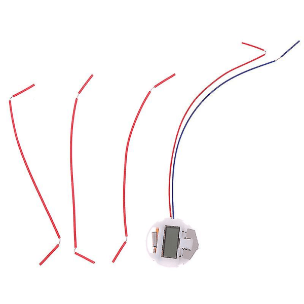 1 sett barns Bio Energy Science Kit Frukt Forsyning Elektrisitet Eks