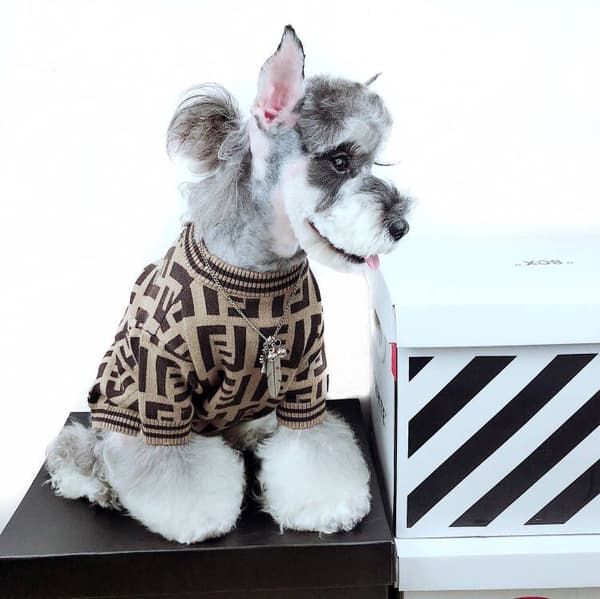 Høst Hund Pyjamas Kjæledyr Valp Klær Jumpsuit Stripe Vinter Søvn