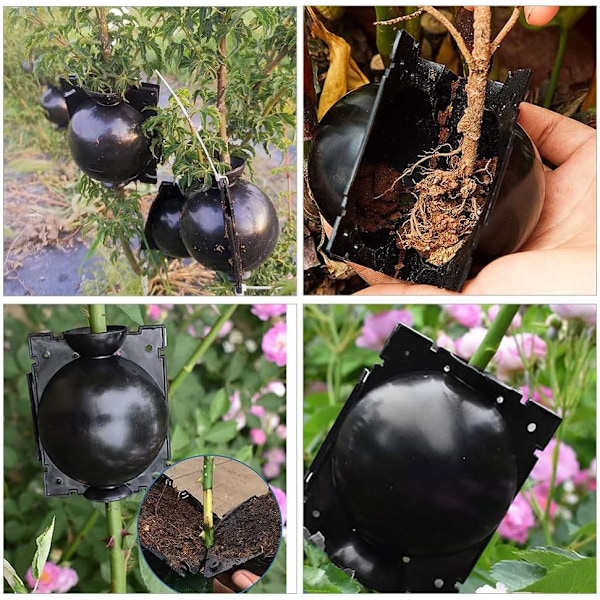 Rotningslådor för växter, Växtförökningsboll, Högtrycksförökningsboll, för växters ympning av rotträning, 10 st (S, Svart)