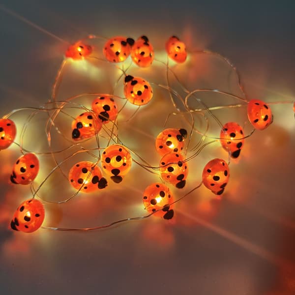 Lyslenke i form av marihøner 2M 20leds USB lysende nett
