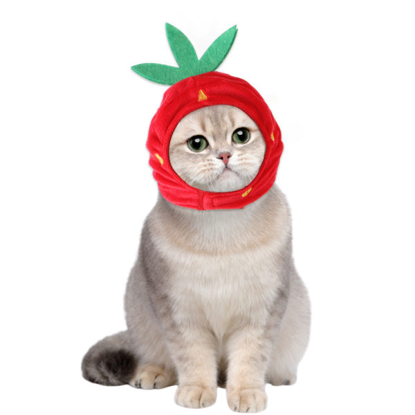 Kattehat Rød Frugtformet Hat Blød Hat Justerbar Tilbehør Brea